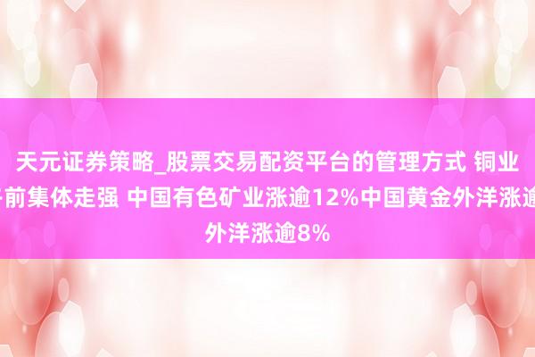 天元证券策略_股票交易配资平台的管理方式 铜业股午前集体走强 中国有色矿业涨逾12%中国黄金外洋涨逾8%
